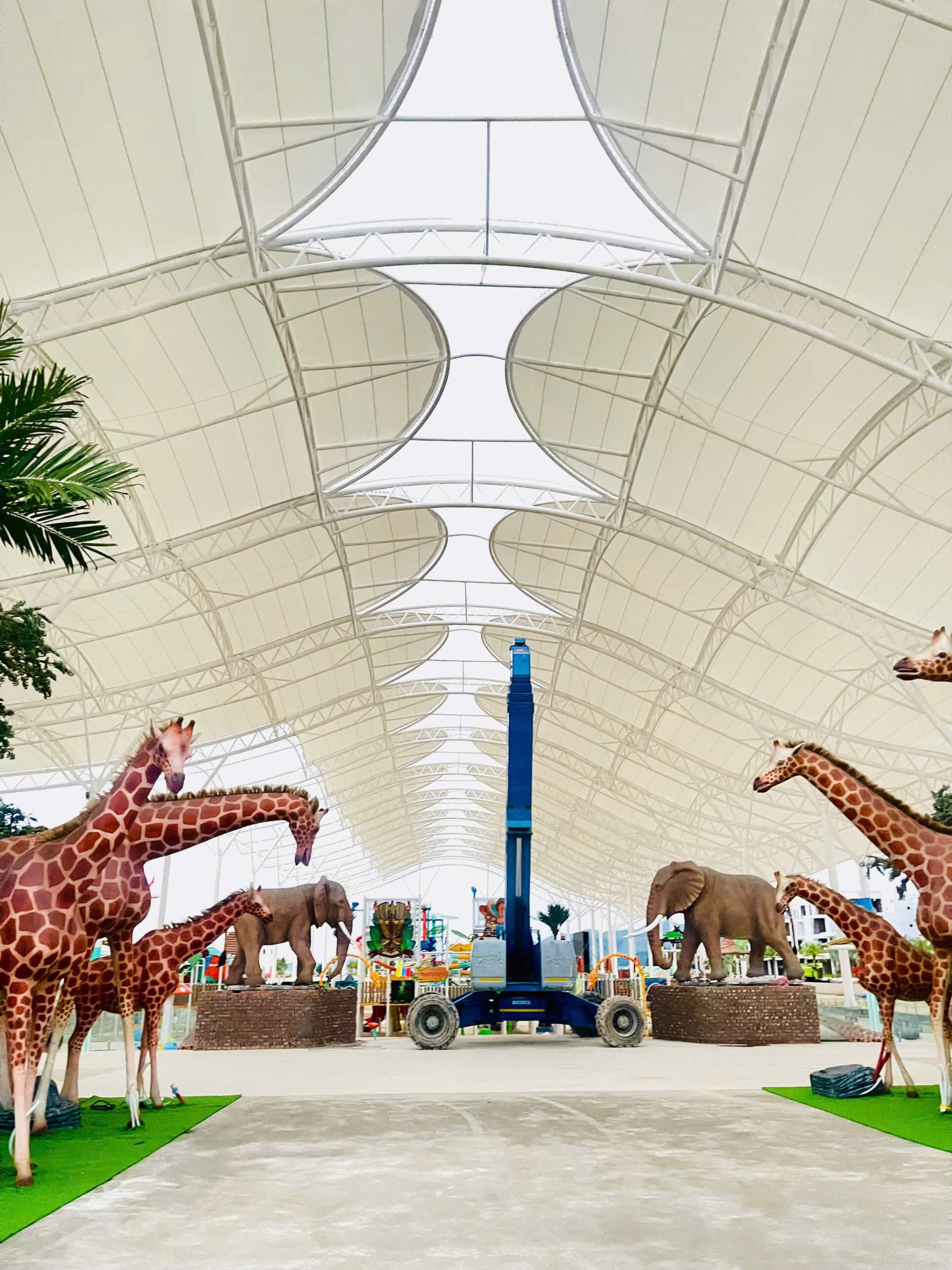 Vườn Huơu cao cổ Phương Đông Vân Đồn